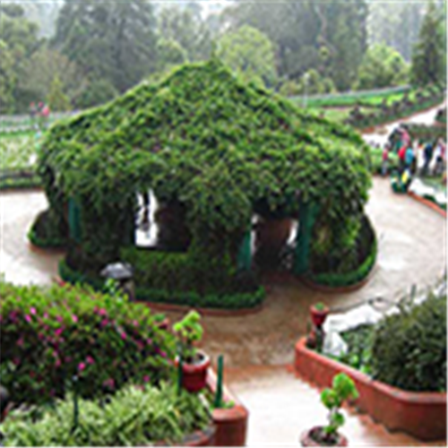 Sri Nirmaladevi Travel Agency