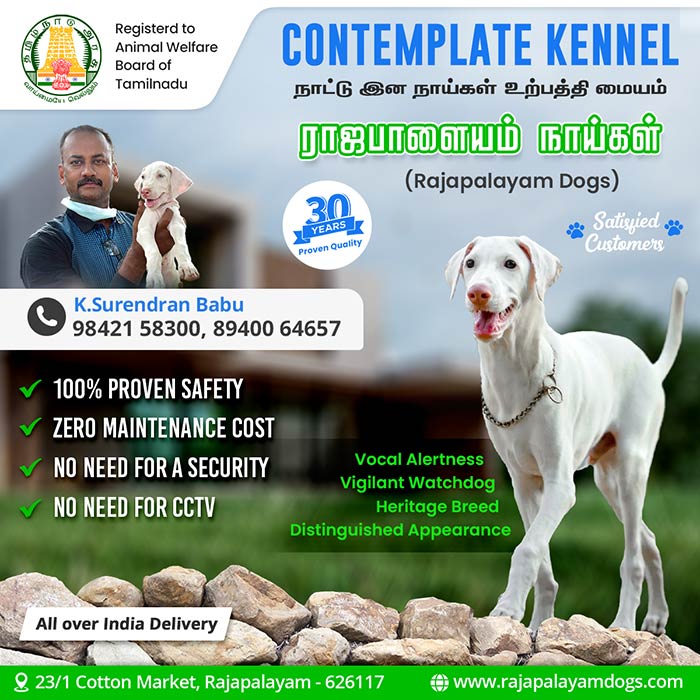 Contemplate kennel
