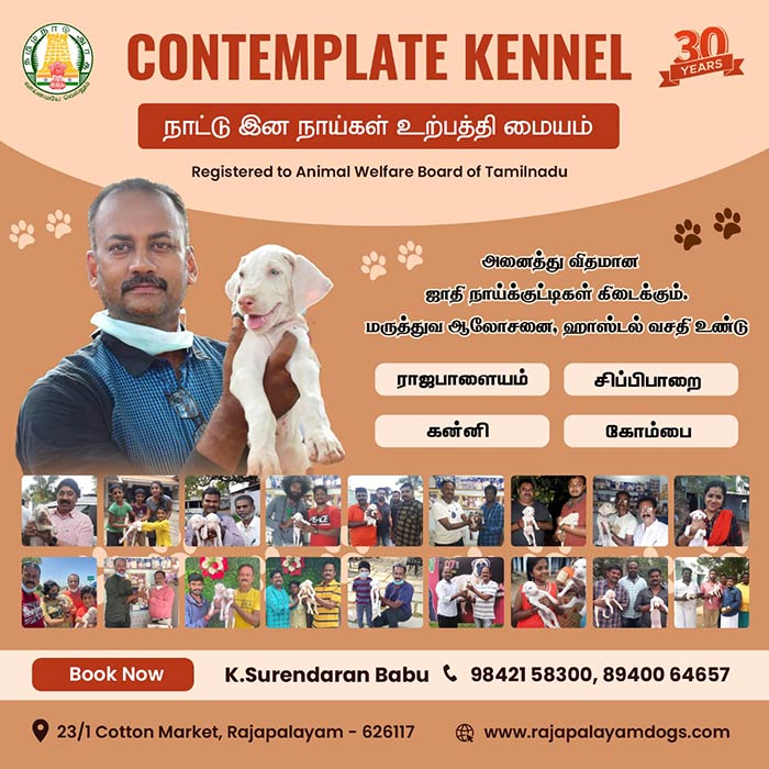 Contemplate kennel